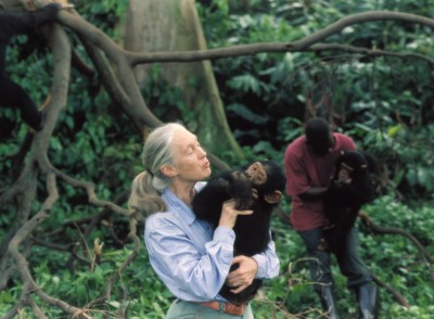 La-notizia-Jane-Goodall-rispetto-della-natura