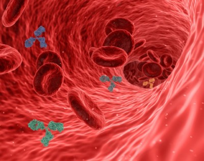 La-notizia-coronavirus-evoluzione-anticorpi